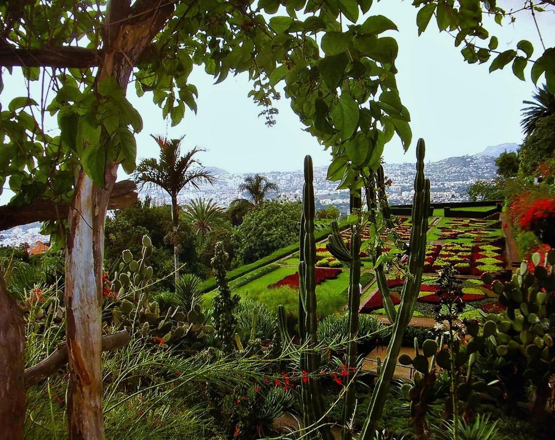 Apartment - The Historical Center Of Funchal In Alojamento Local ภายนอก รูปภาพ