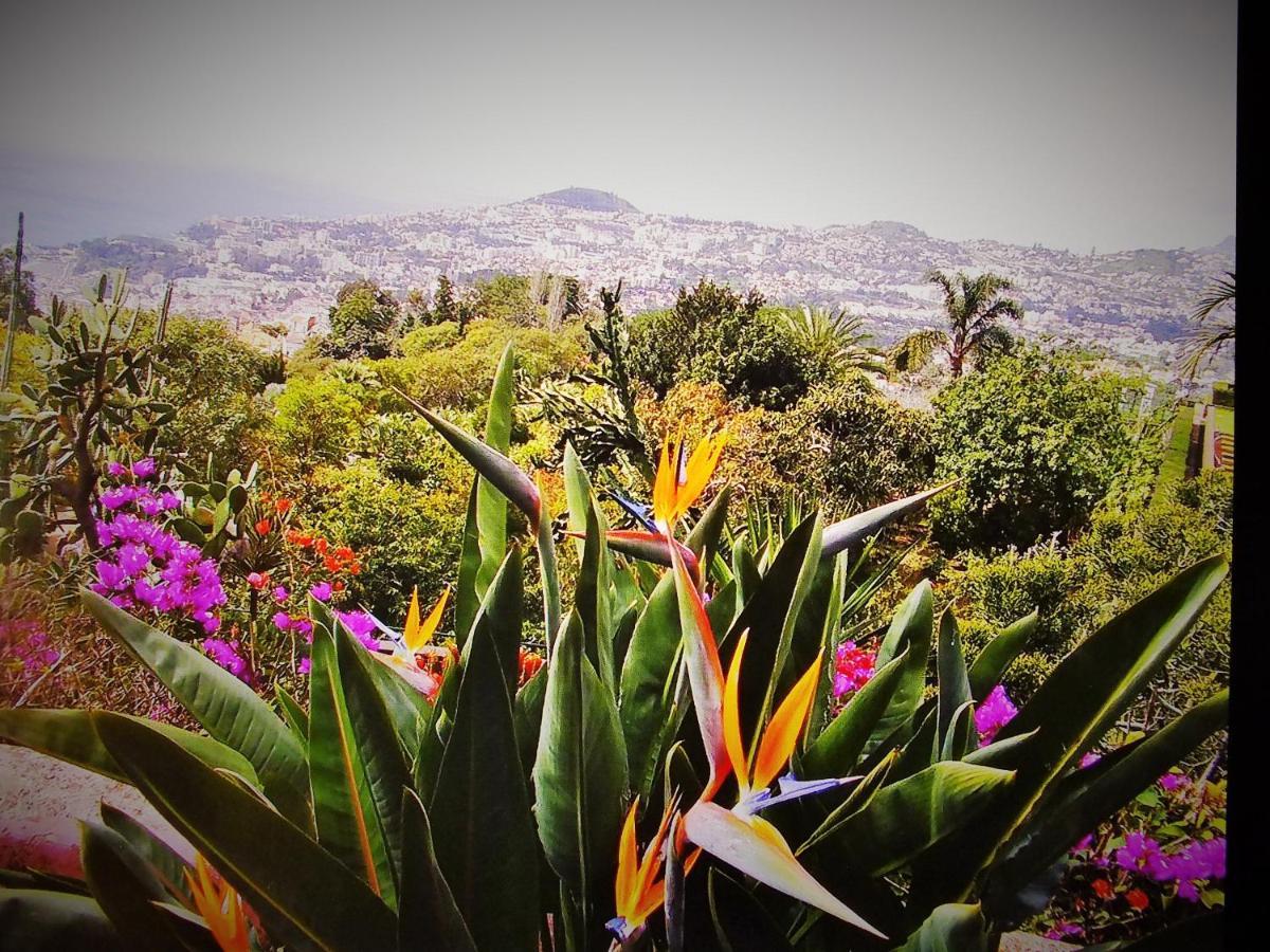 Apartment - The Historical Center Of Funchal In Alojamento Local ภายนอก รูปภาพ