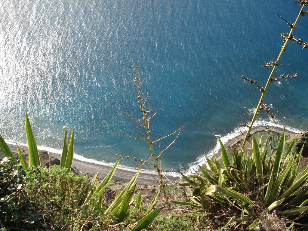 Apartment - The Historical Center Of Funchal In Alojamento Local ภายนอก รูปภาพ