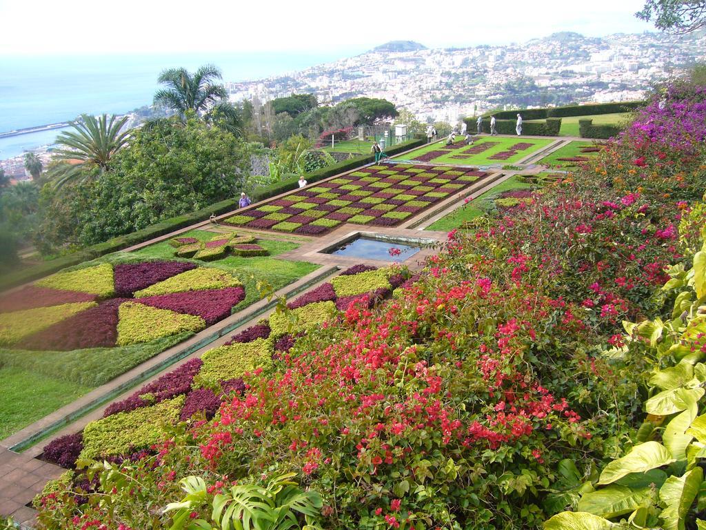 Apartment - The Historical Center Of Funchal In Alojamento Local ภายนอก รูปภาพ