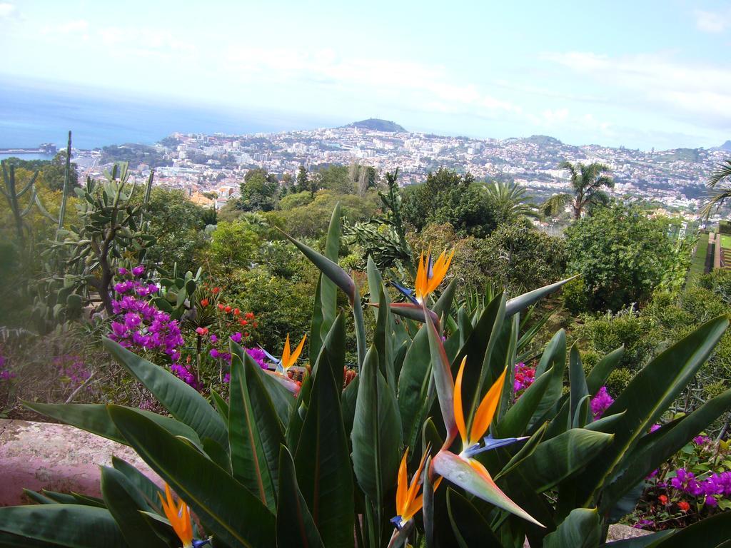 Apartment - The Historical Center Of Funchal In Alojamento Local ภายนอก รูปภาพ