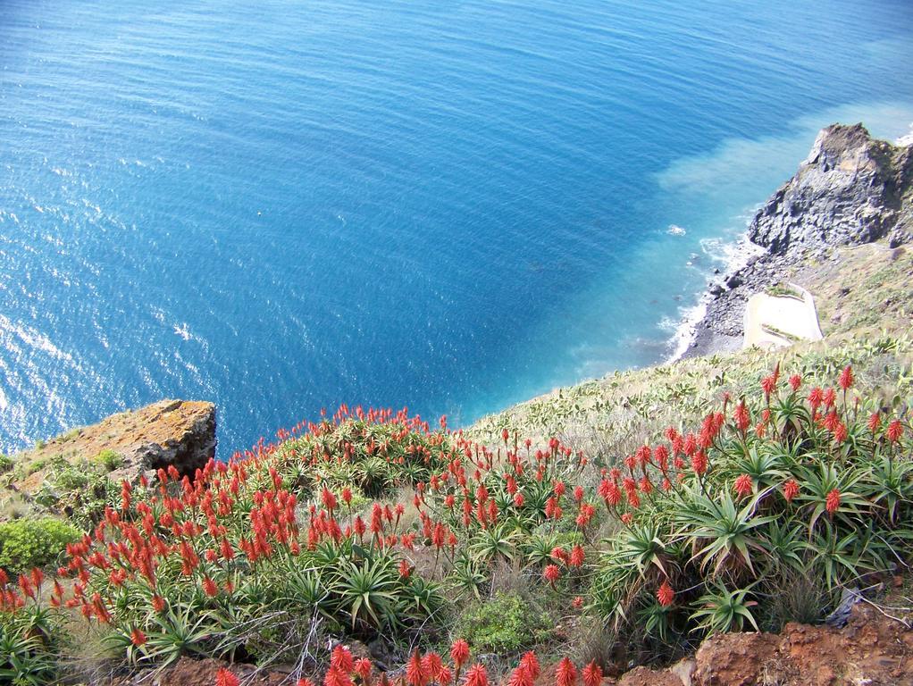 Apartment - The Historical Center Of Funchal In Alojamento Local ภายนอก รูปภาพ