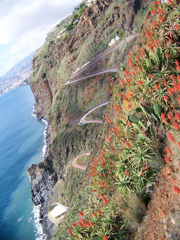Apartment - The Historical Center Of Funchal In Alojamento Local ภายนอก รูปภาพ